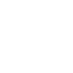 Best In Class Advocacy at Sirius Legal